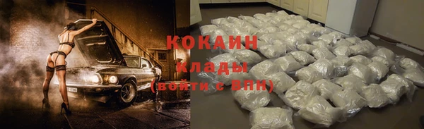 прущие грибы Нея