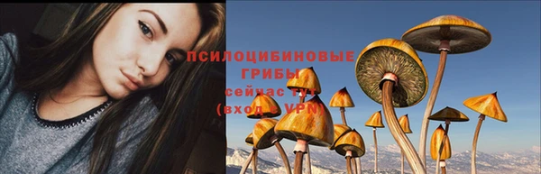 молекула духа Нефтегорск