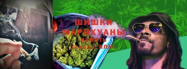 молекула духа Нефтегорск