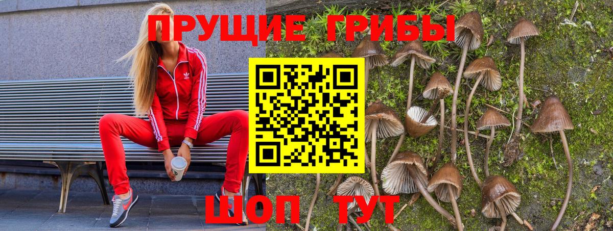 Галлюциногенные грибы мицелий  Вход с VPN  Кондопога 