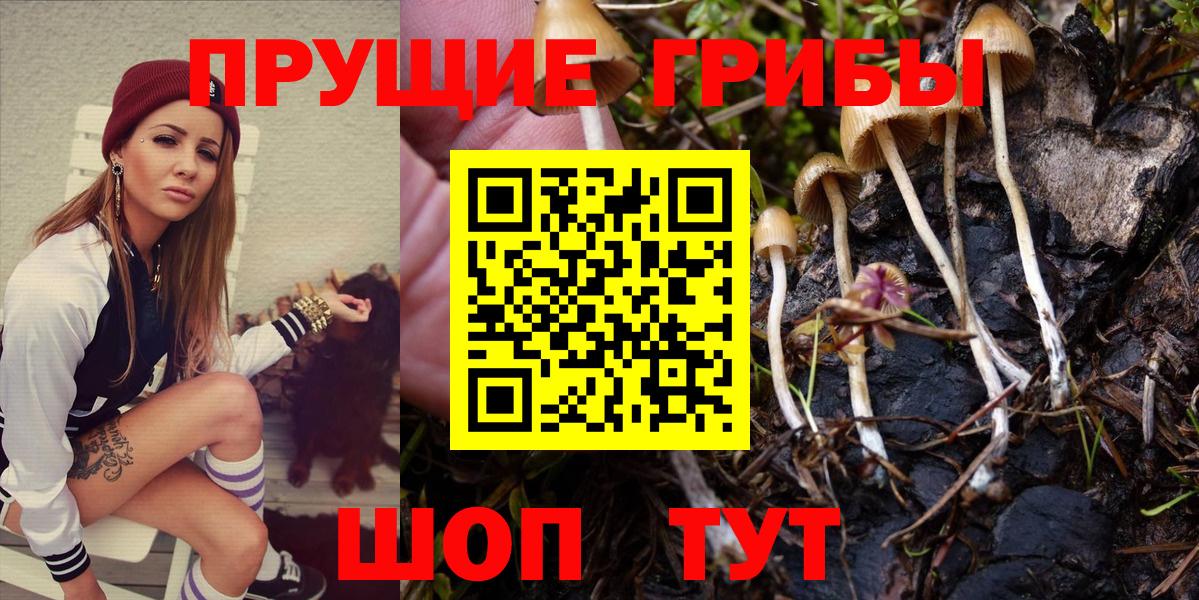 Псилоцибиновые грибы мицелий Кондопога