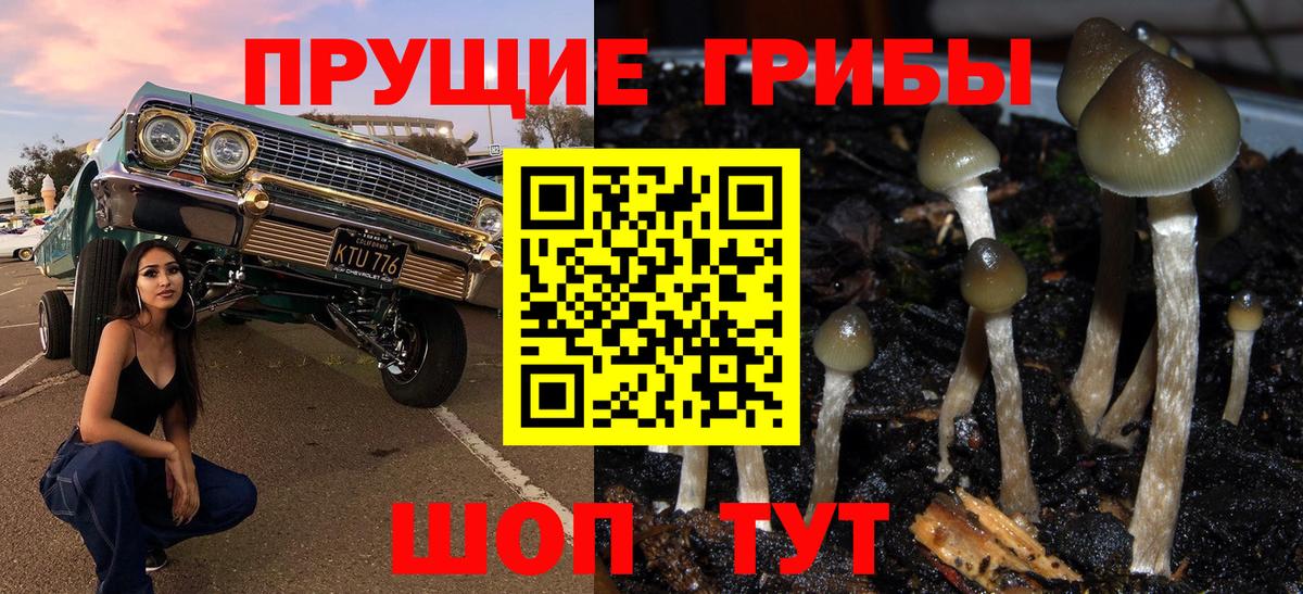 Псилоцибиновые грибы Psilocybe  Псилоцибиновые грибы MAGIC MUSHROOMS  Кондопога 